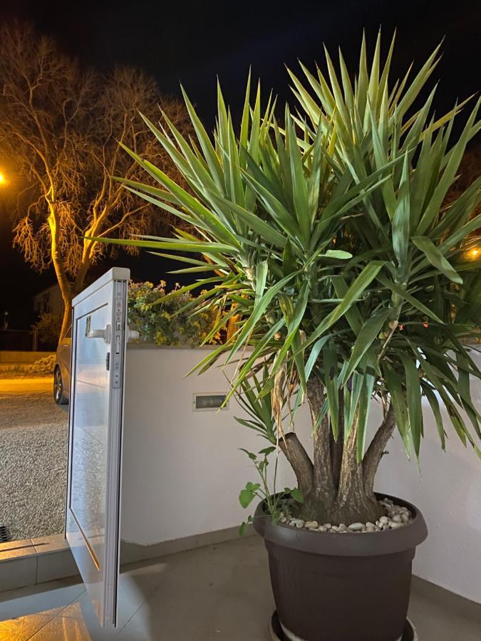 Studio Mare Zadar Ngoại thất bức ảnh